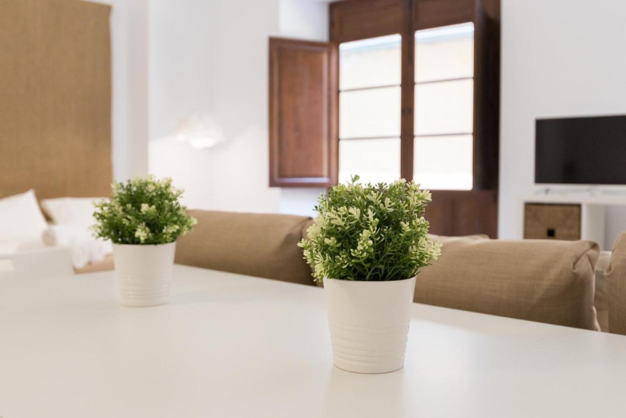 Santiago Premium Loft I Apartment Malaga Exterior photo
